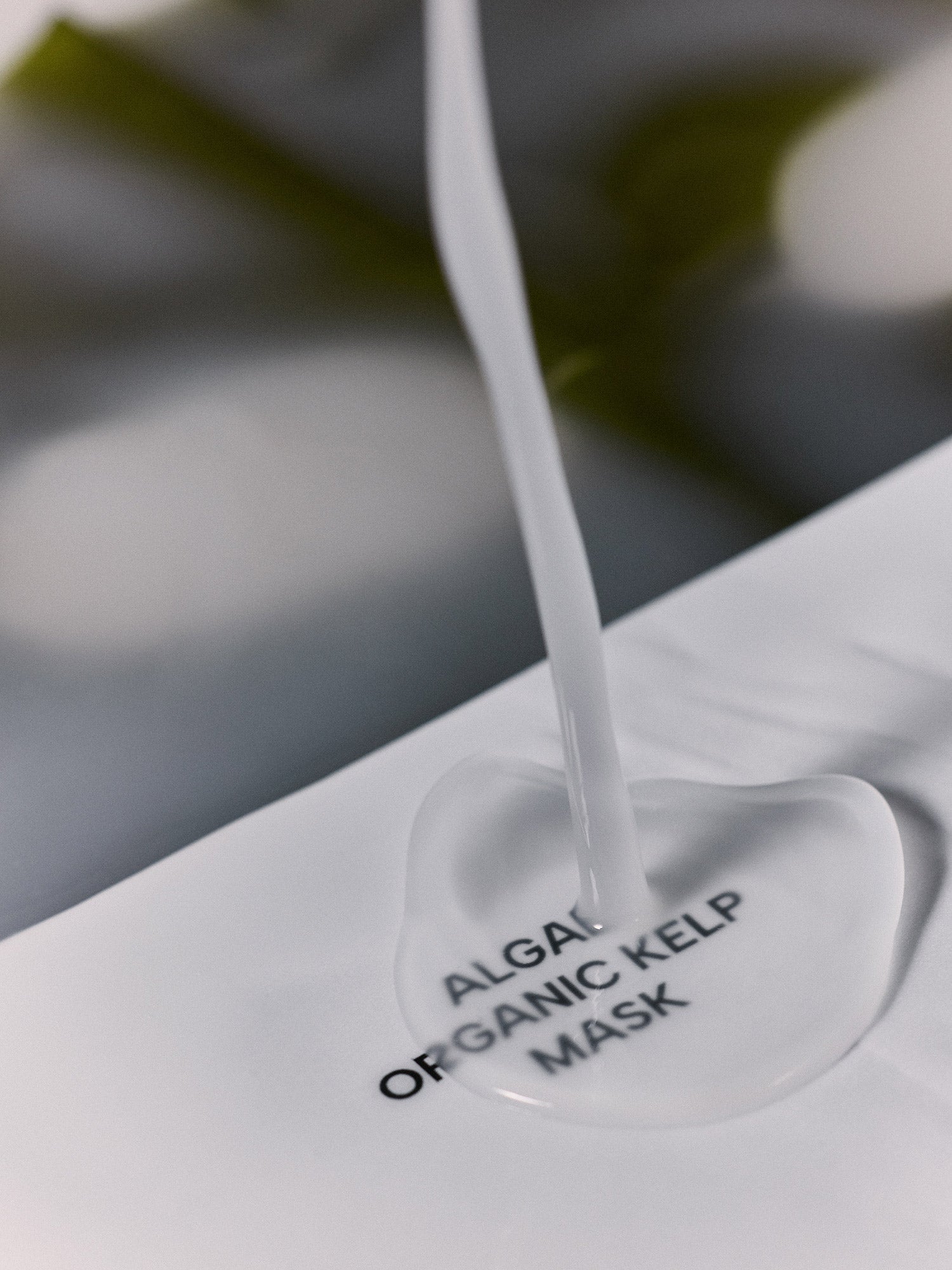 WHAMISA Organic Algae Kelp Mask