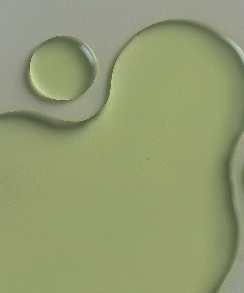 WHAMISA Cactus Inner Skin Moisture Bouncy Serum
