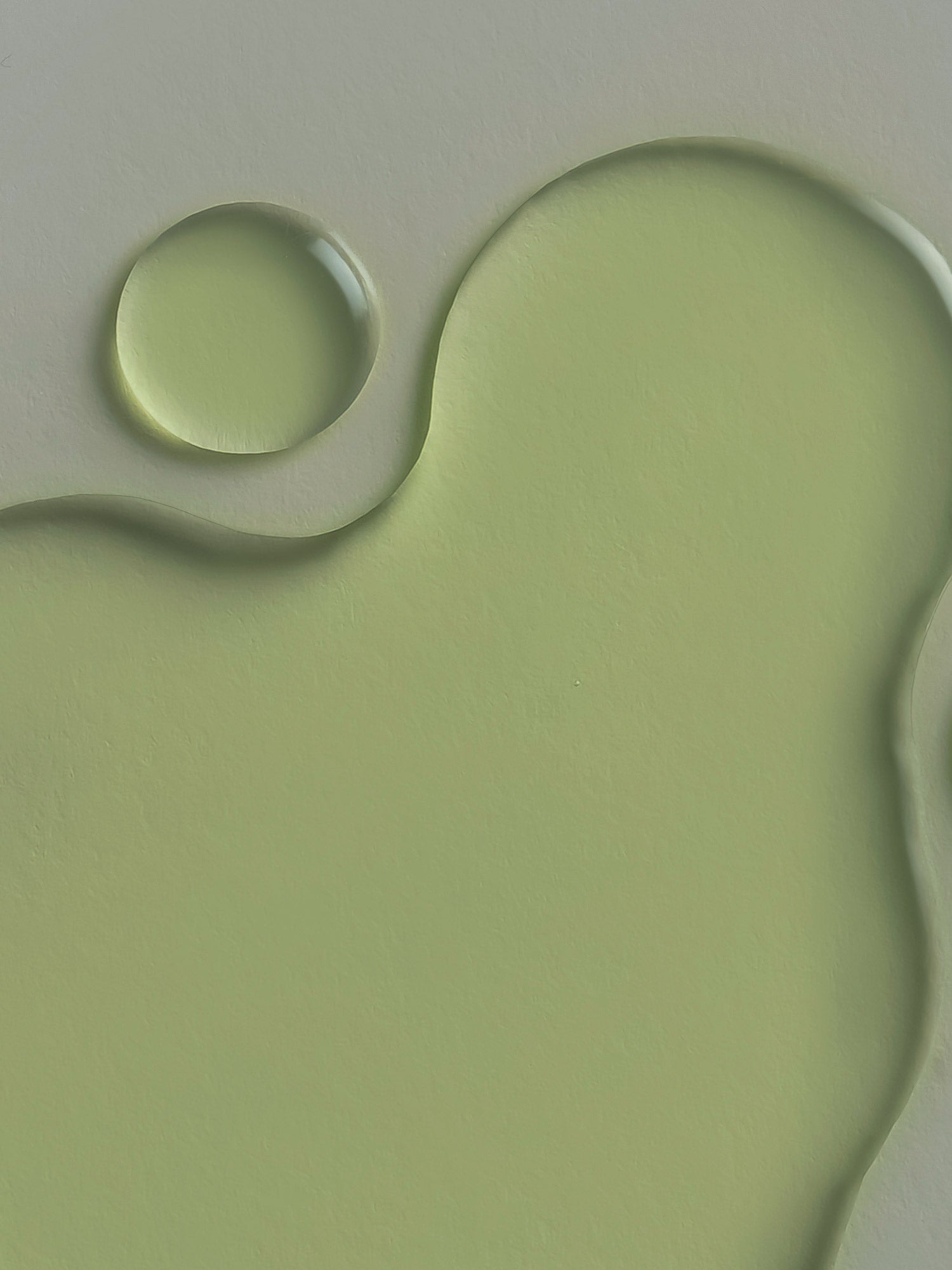 WHAMISA Cactus Inner Skin Moisture Bouncy Serum