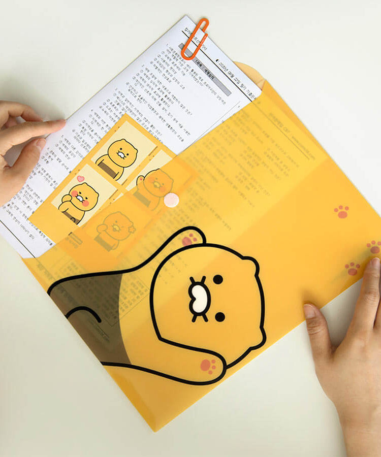 Kakao Friends Chunsik Envelope File