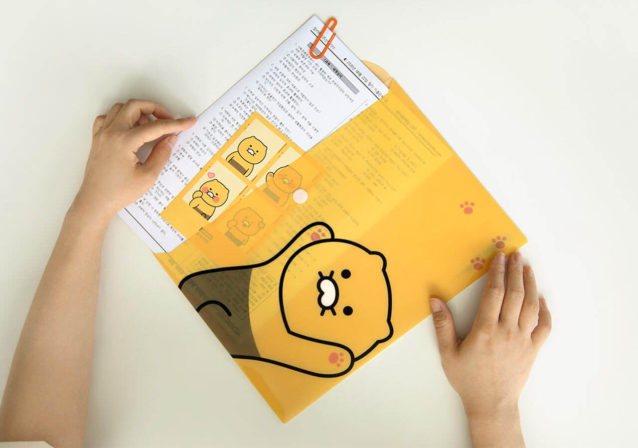 Kakao Friends Chunsik Envelope File