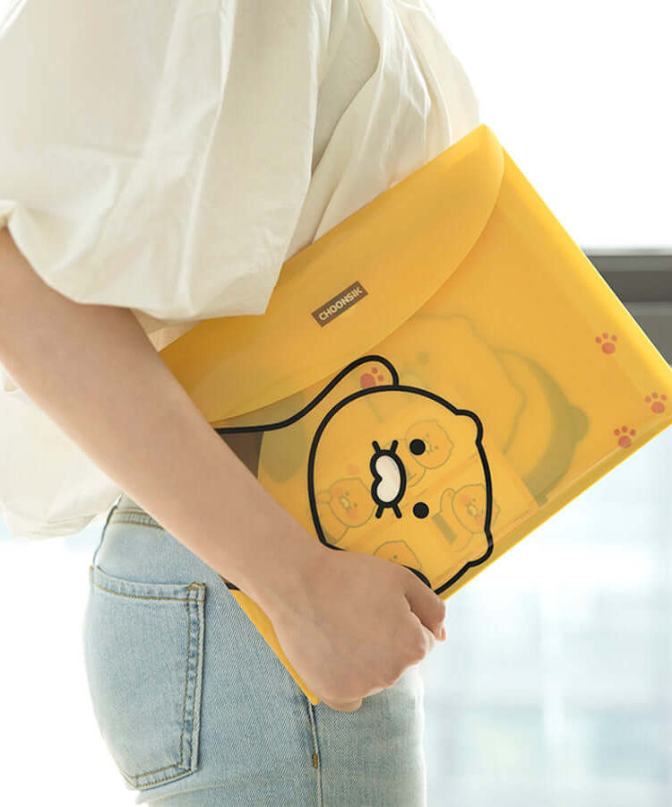 Kakao Friends Chunsik Envelope File
