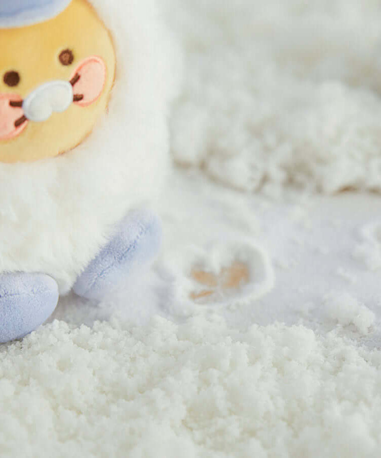Kakao Friends Chunsik Mini Plush