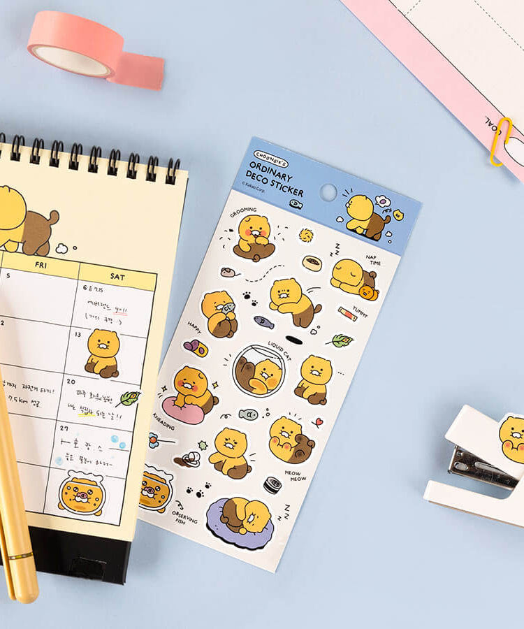 Kakao Friends Chunsik Deco Stickers