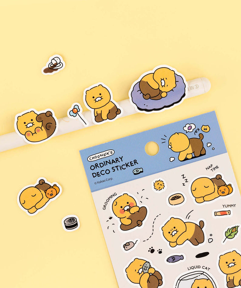 Kakao Friends Chunsik Deco Stickers