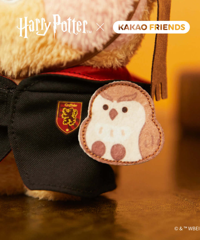Kakao Friends Friends Poslin Plush
