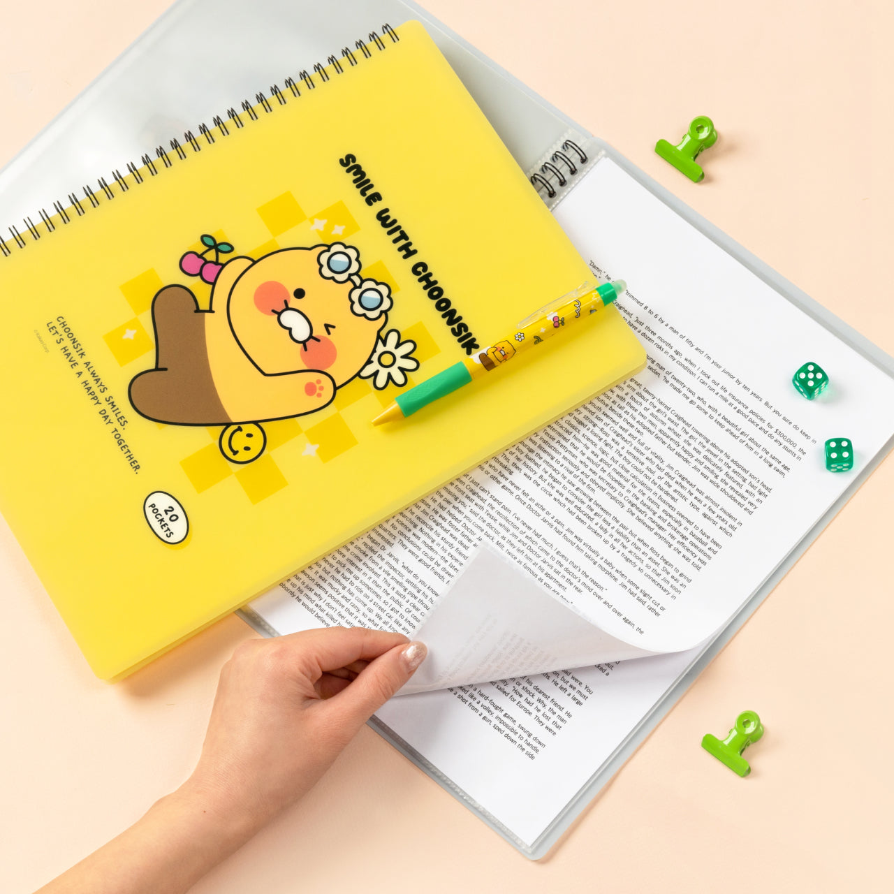 Kakao Friends Chunsik Clear File