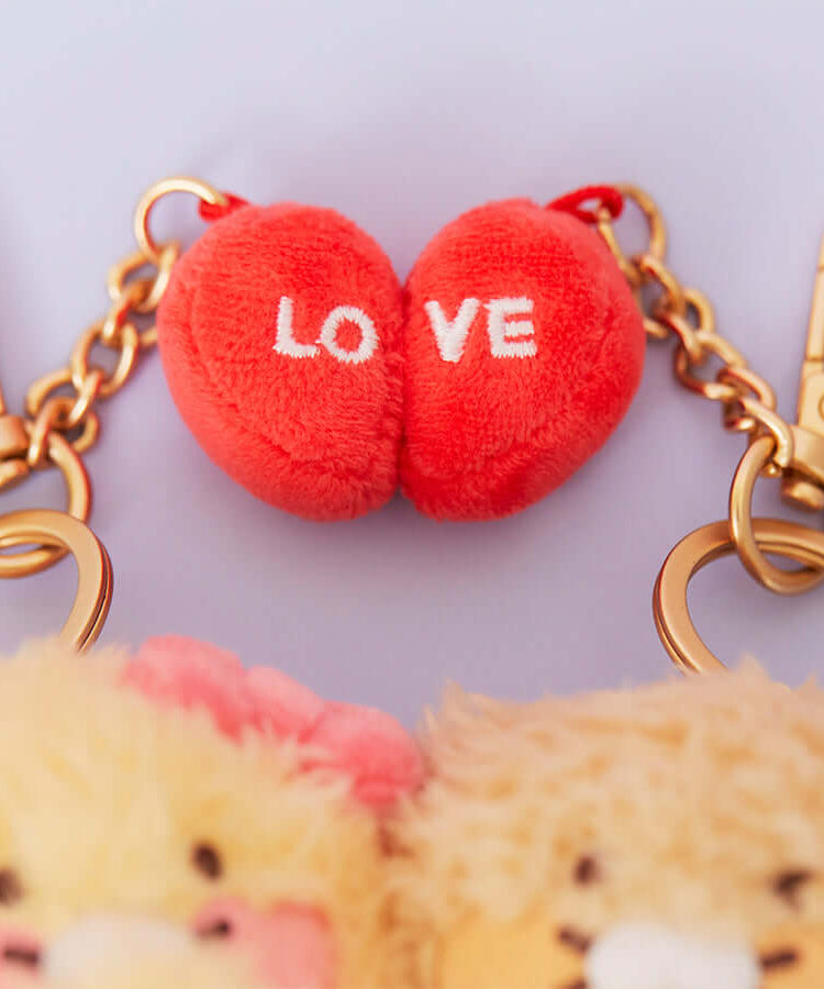 Kakao Friends Chunsik Plush Keyring Set