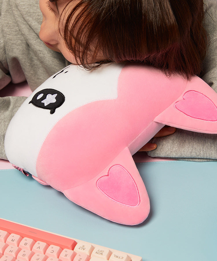 Car Cushion - Korean kawaii Kakao Friends | Koolseoul
