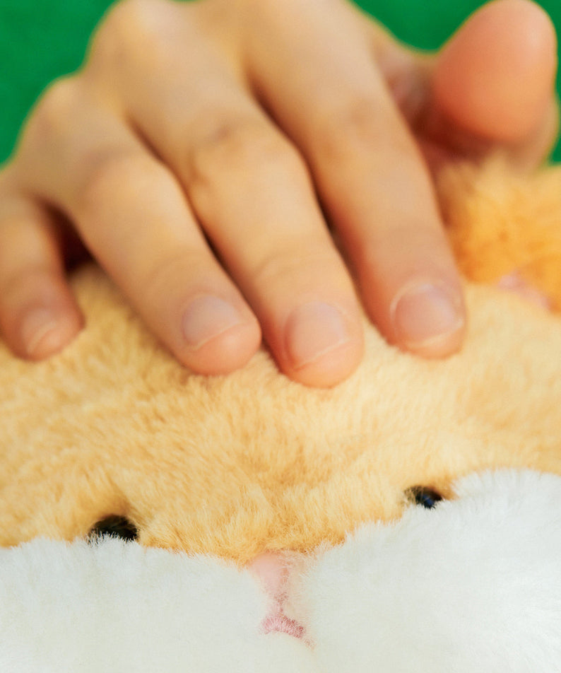 FRIENDZOO Plush Chunsik - Korean kawaii Kakao Friends | Koolseoul