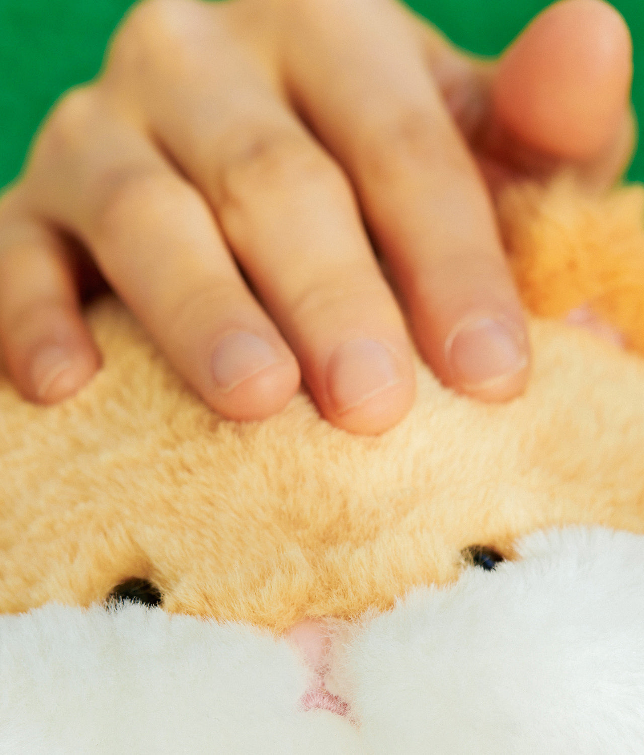 FRIENDZOO Plush Chunsik - Korean kawaii Kakao Friends | Koolseoul