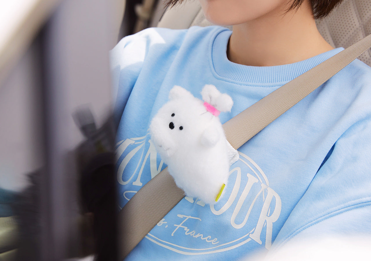 Kakao Friends Item Car Accessory - Korean kawaii Kakao Friends | Koolseoul