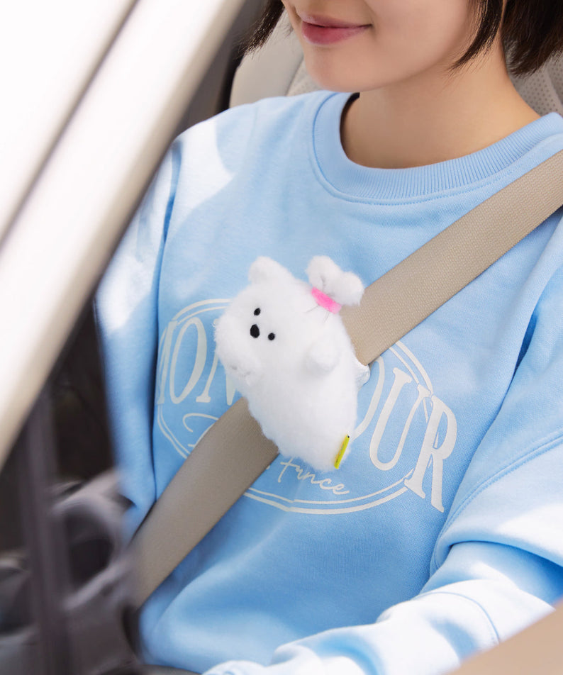 Kakao Friends Item Car Accessory - Authentic Kakao Friends from Korea | Koolseoul