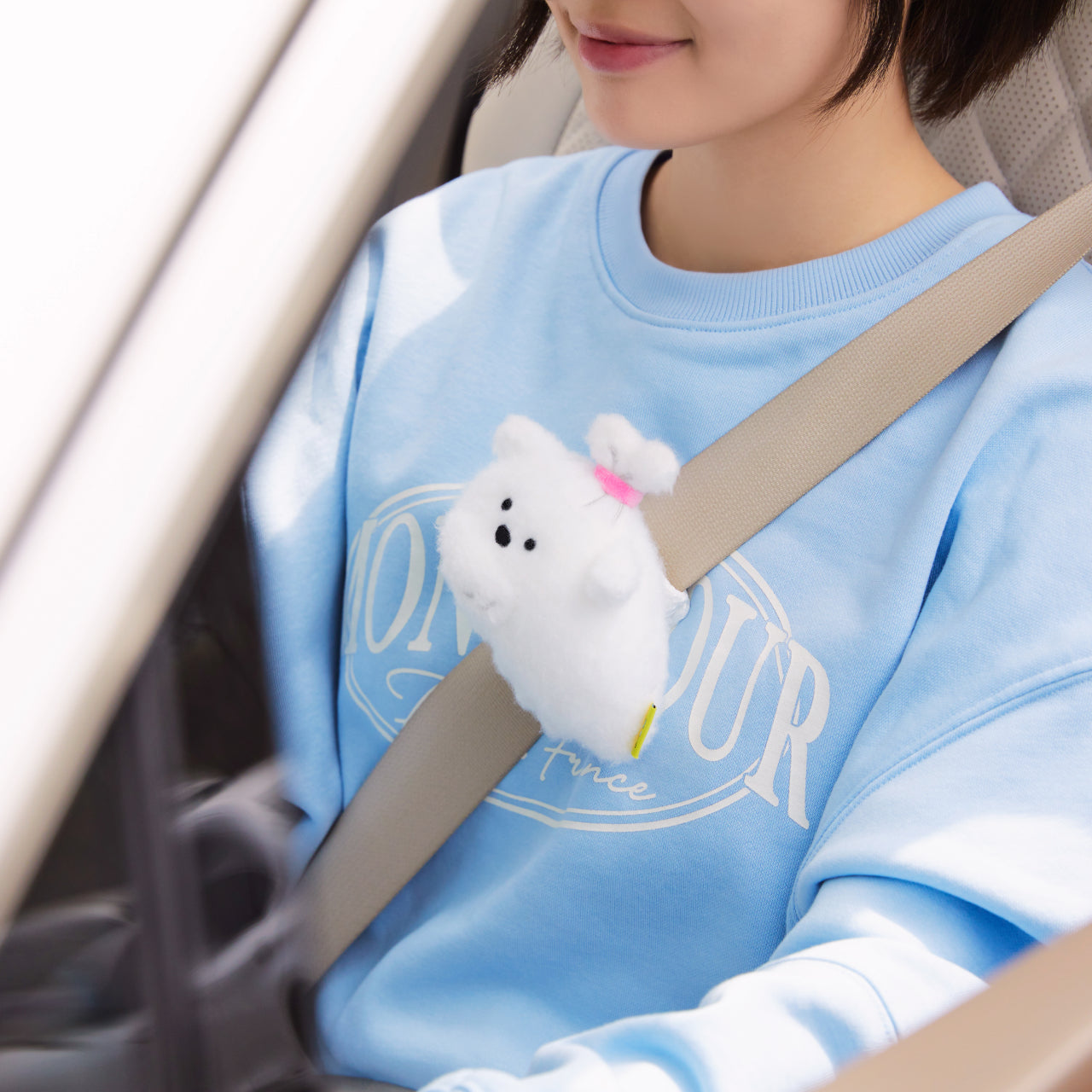 Kakao Friends Item Car Accessory - Authentic Kakao Friends from Korea | Koolseoul