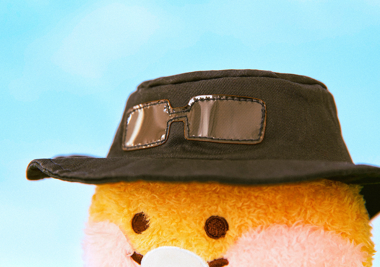 (OOTD) Plush - Korean kawaii Kakao Friends | Koolseoul