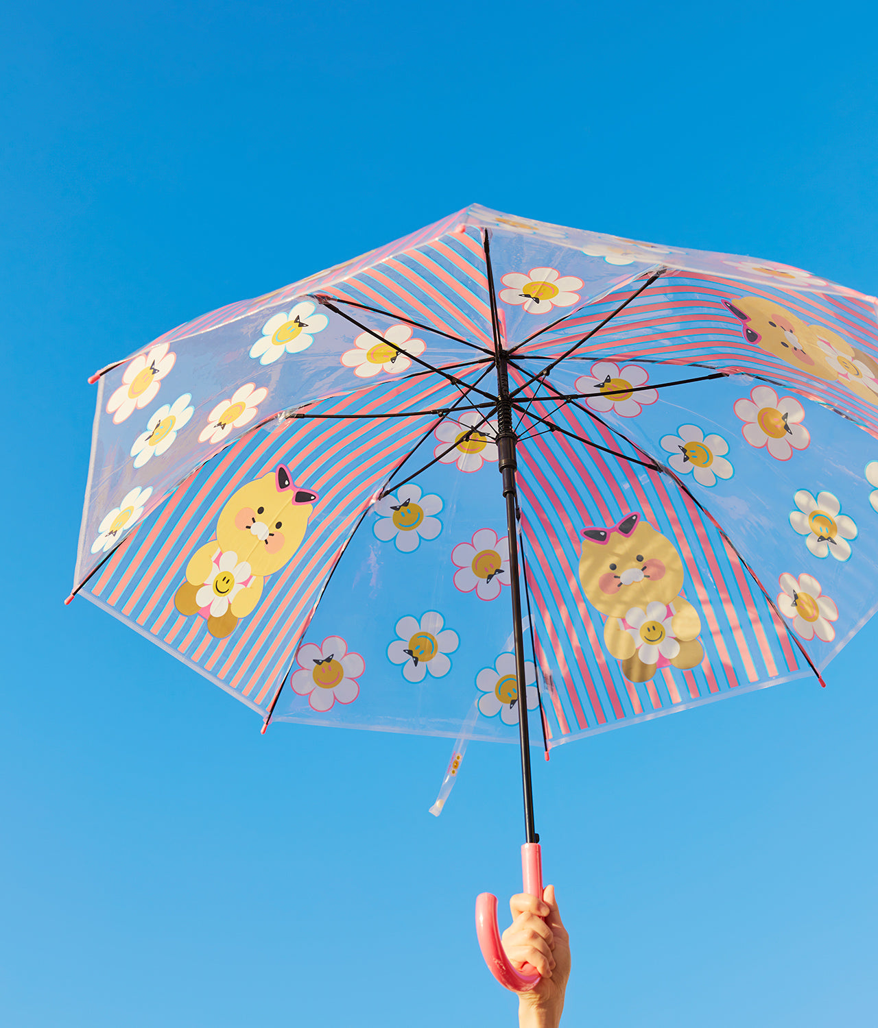 XFriends Clear Umbrella Chunsik - Korean kawaii Kakao Friends | Koolseoul
