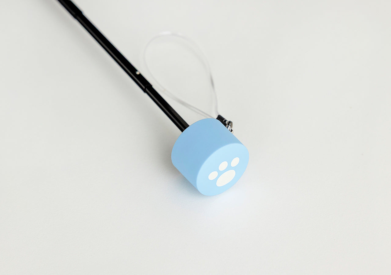 Chunsik Umbrella - Authentic Kakao Friends from Korea | Koolseoul