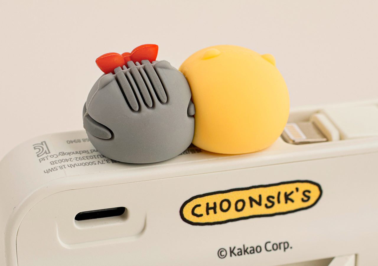 Power Bank 5,000 C Chunsik - Authentic Kakao Friends from Korea | Koolseoul