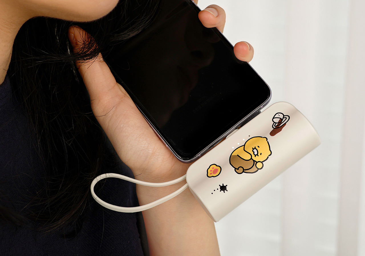 Power Bank 5,000 C Chunsik - Official Kakao Friends merchandise | Koolseoul