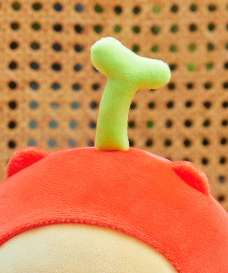 Kakao Friends Chunsik Item