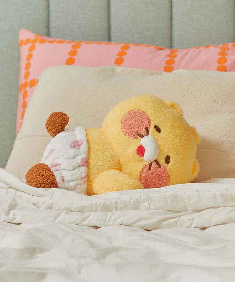 Kakao Friends Friends Mini Pillow
