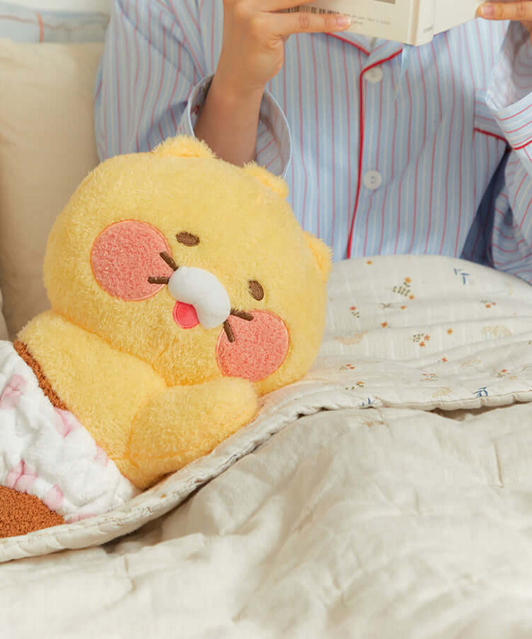 Kakao Friends Friends Mini Pillow