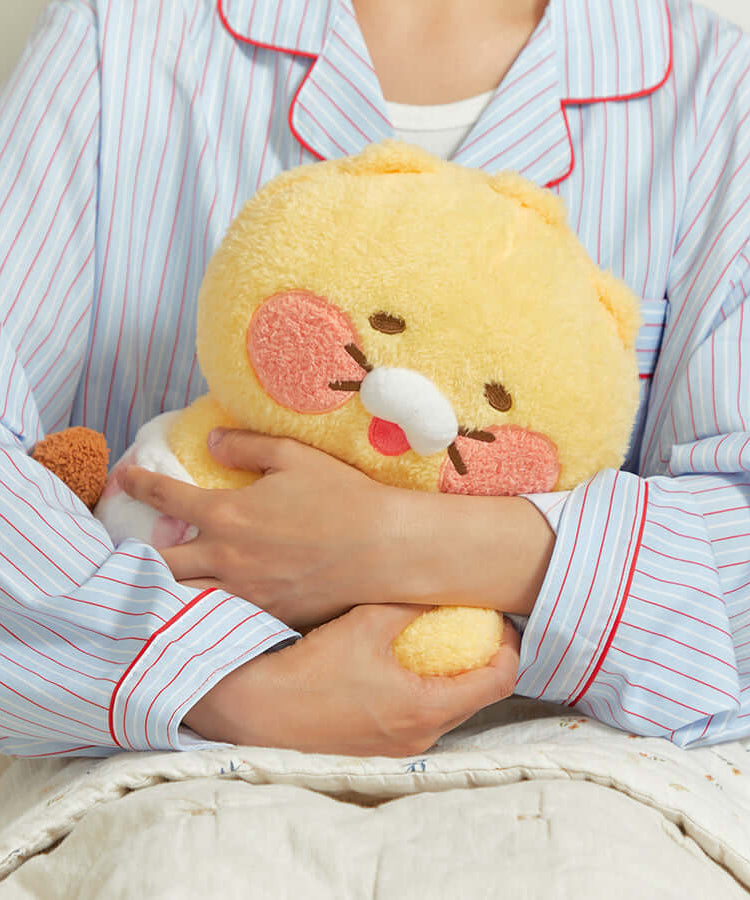 Kakao Friends Friends Mini Pillow