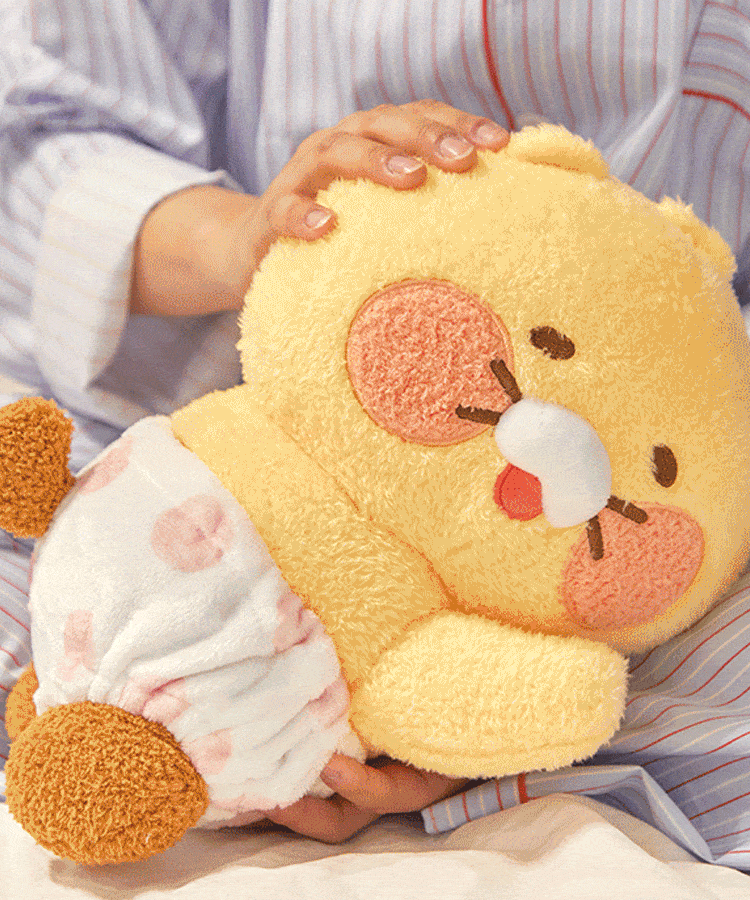 Kakao Friends Friends Mini Pillow