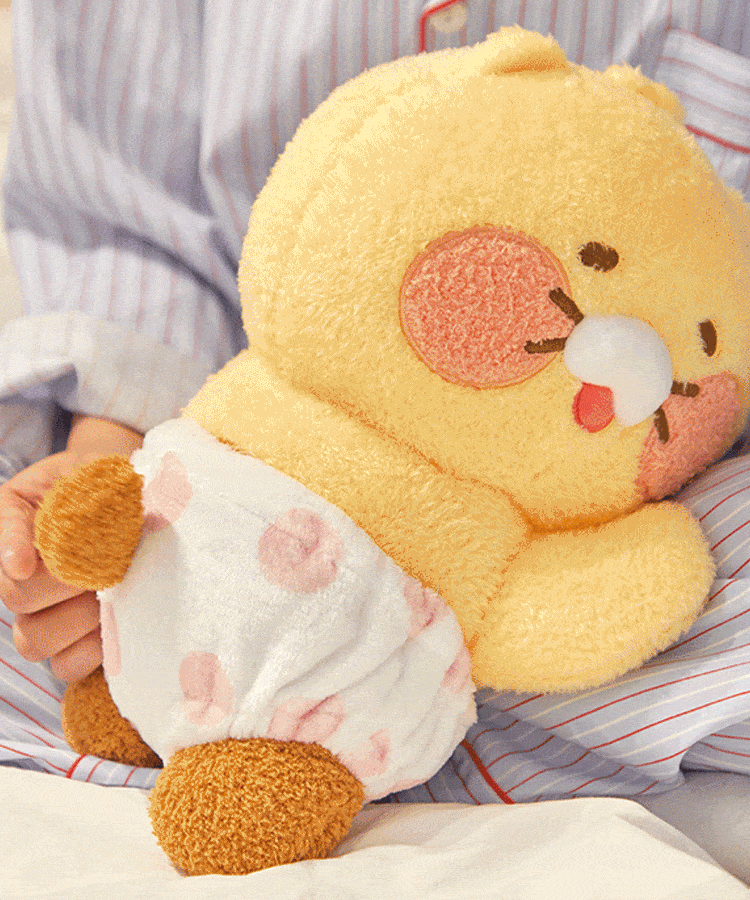 Kakao Friends Friends Mini Pillow