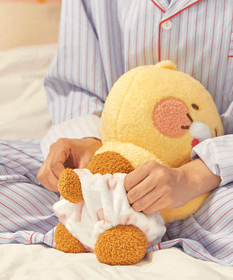 Kakao Friends Friends Mini Pillow