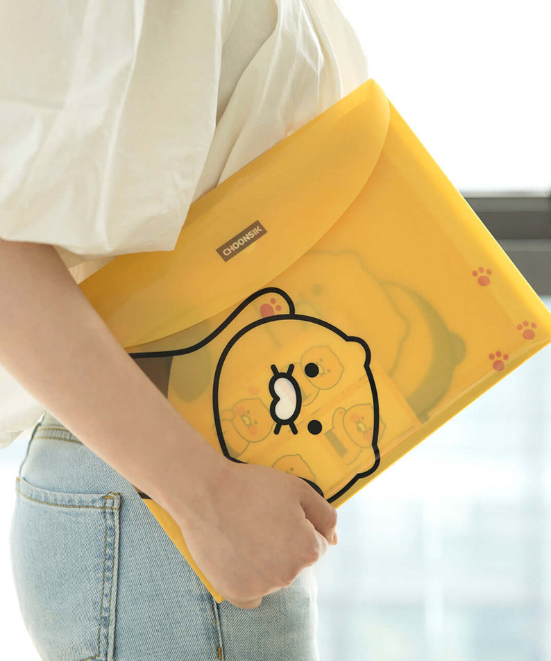 Kakao Friends Chunsik Envelope File