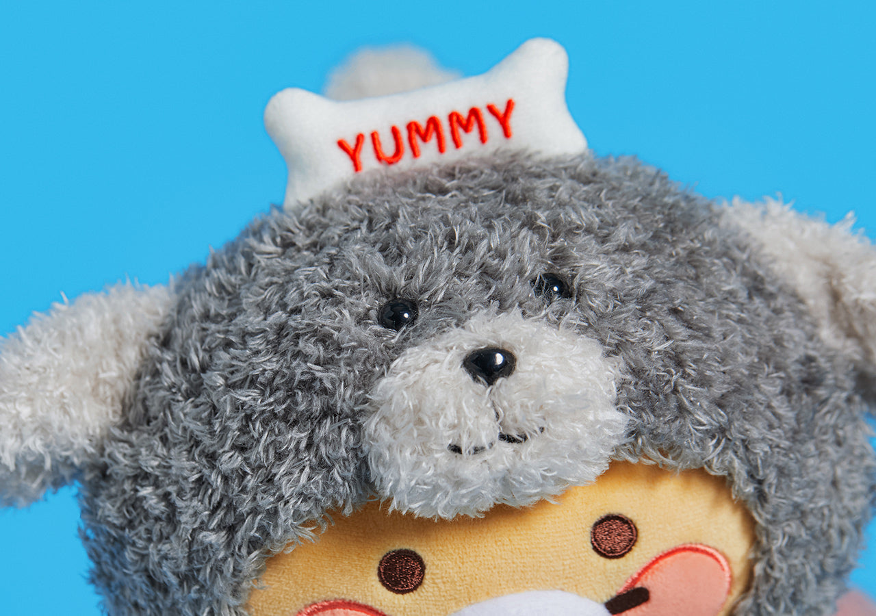 Plush Chunsik - Official Kakao Friends merchandise | Koolseoul
