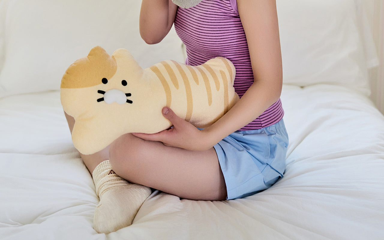 FRIENDAY Flat Cushion Chunsik - Official Kakao Friends merchandise | Koolseoul