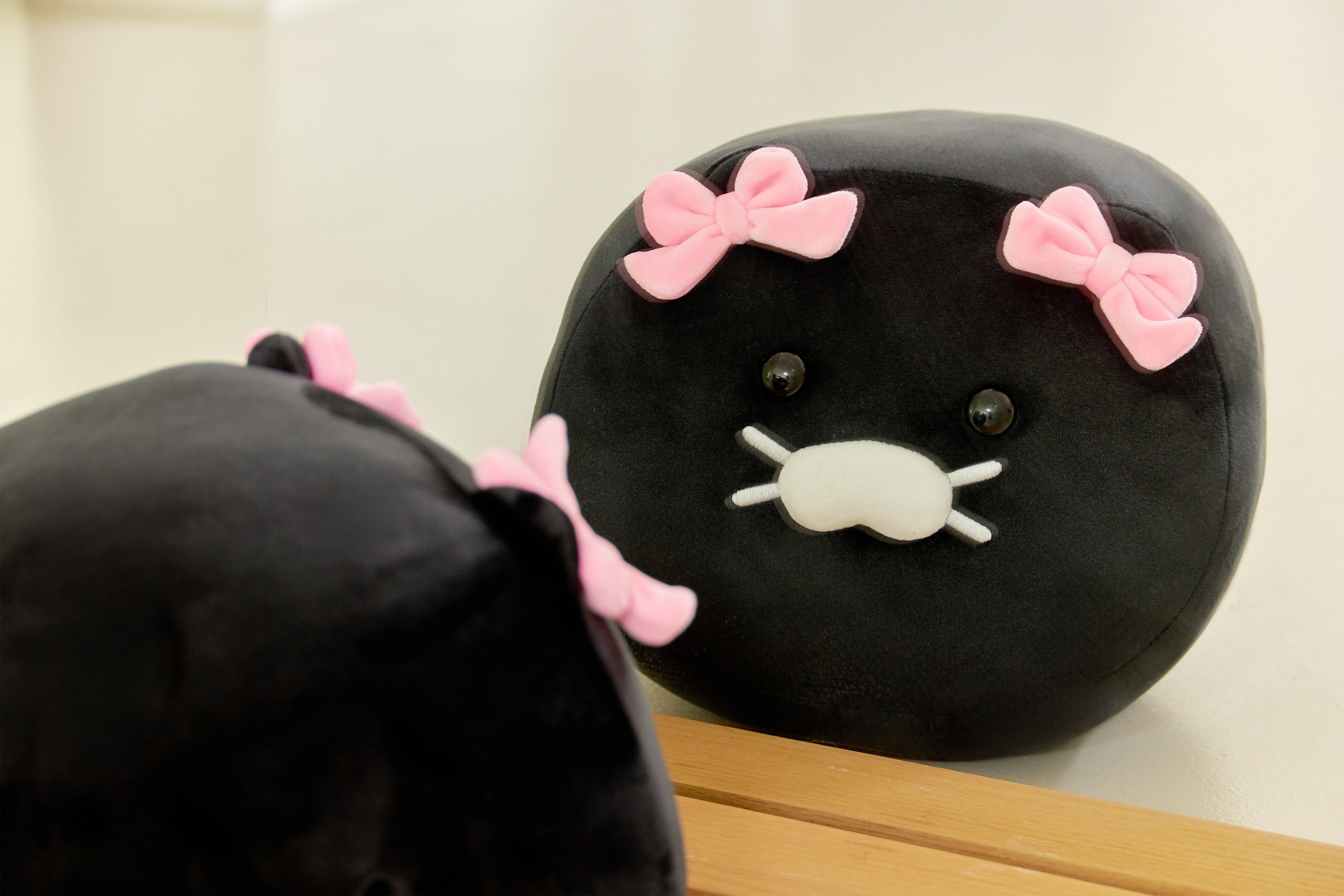 Black Cushion - Official Kakao Friends merchandise | Koolseoul
