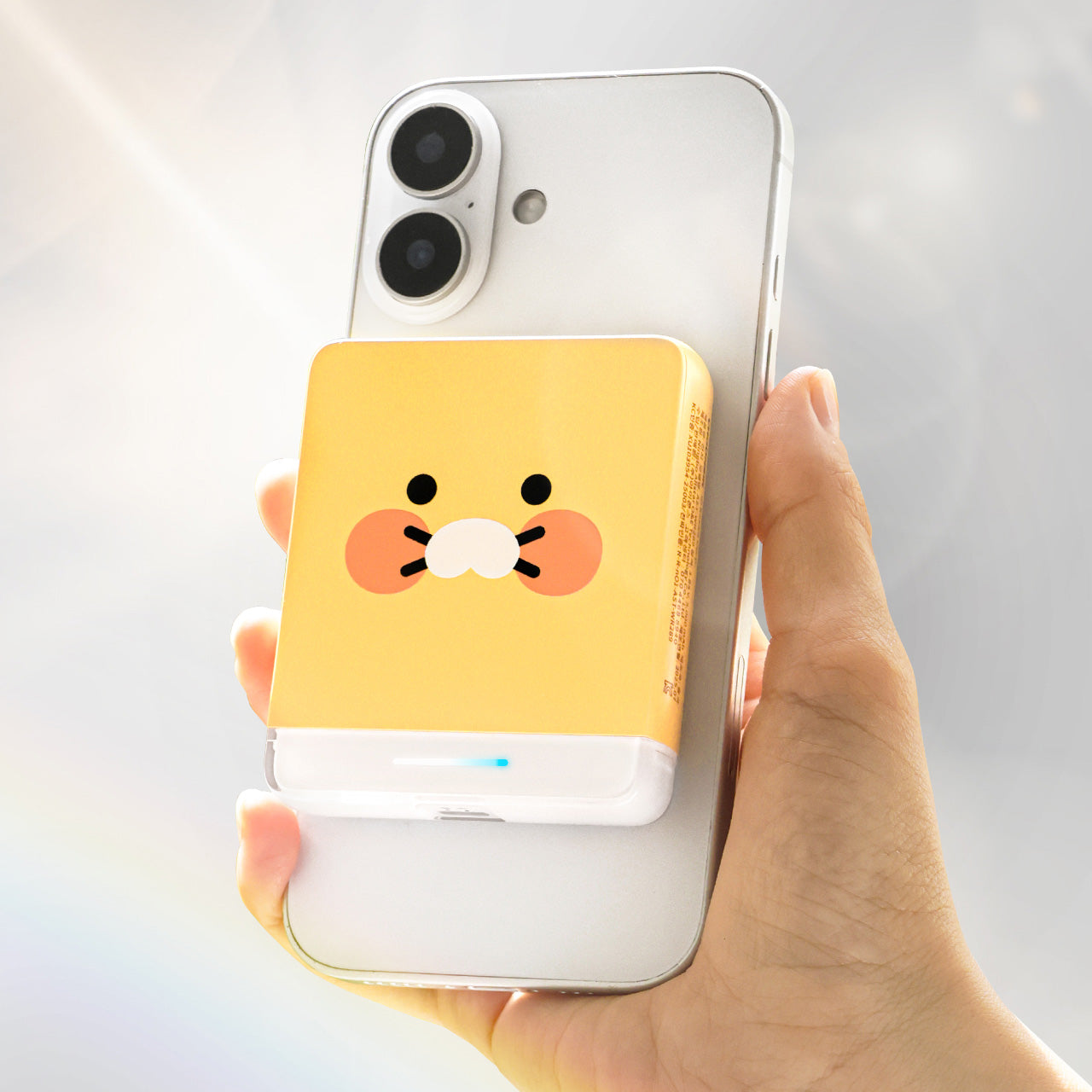 Power Bank 5,000 Chunsik - Authentic Kakao Friends from Korea | Koolseoul