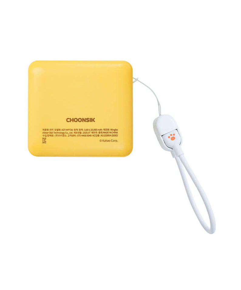 Kakao Friends Chunsik Power Bank