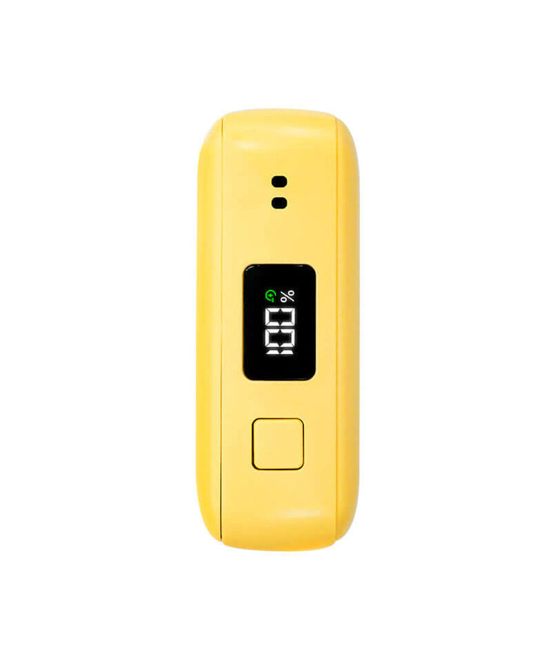 Kakao Friends Chunsik Power Bank