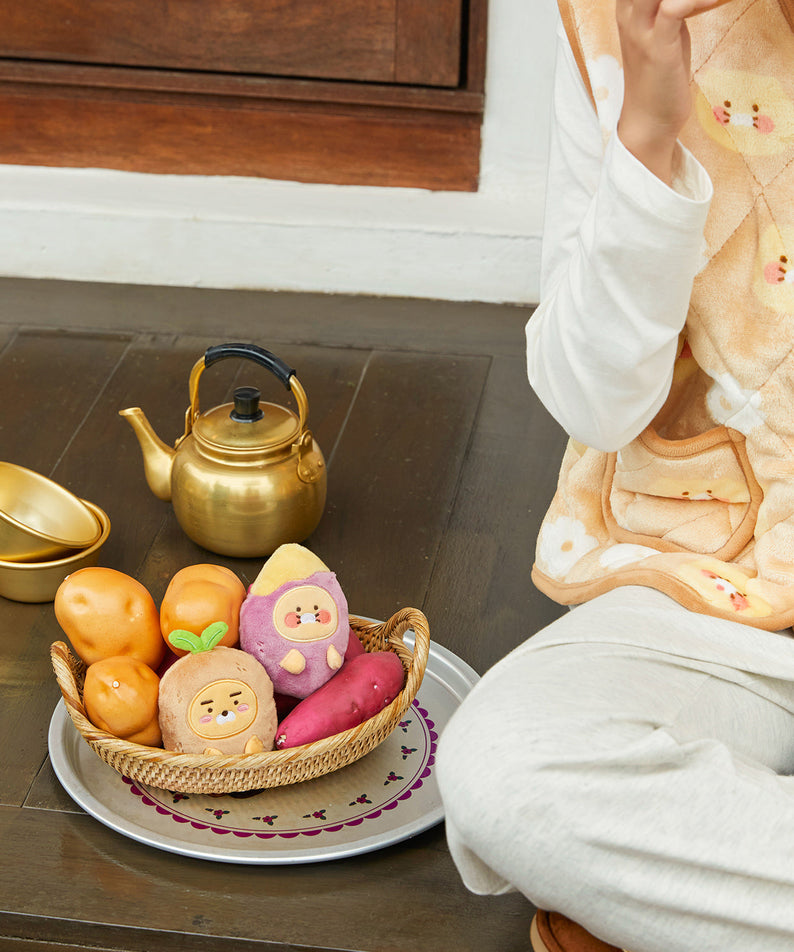 Plush Chunsik - Official Kakao Friends merchandise | Koolseoul