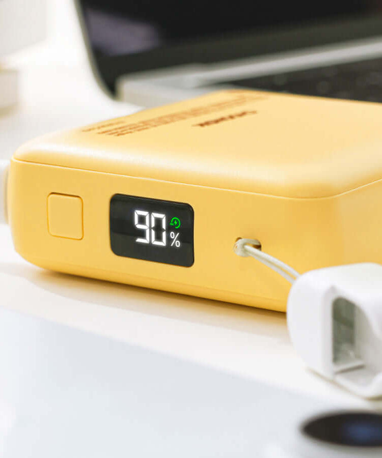 Kakao Friends Chunsik Power Bank