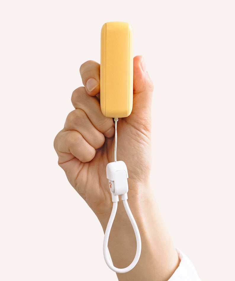 Mini Power Bank 10,000 Chunsik - Korean kawaii Kakao Friends | Koolseoul