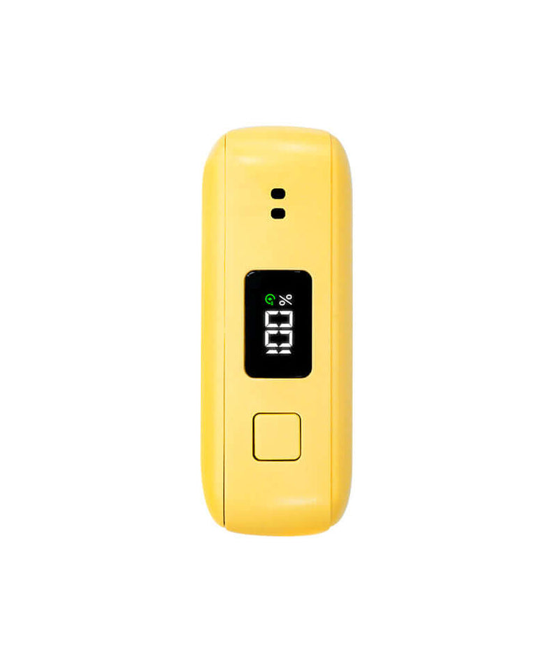Kakao Friends Chunsik Power Bank