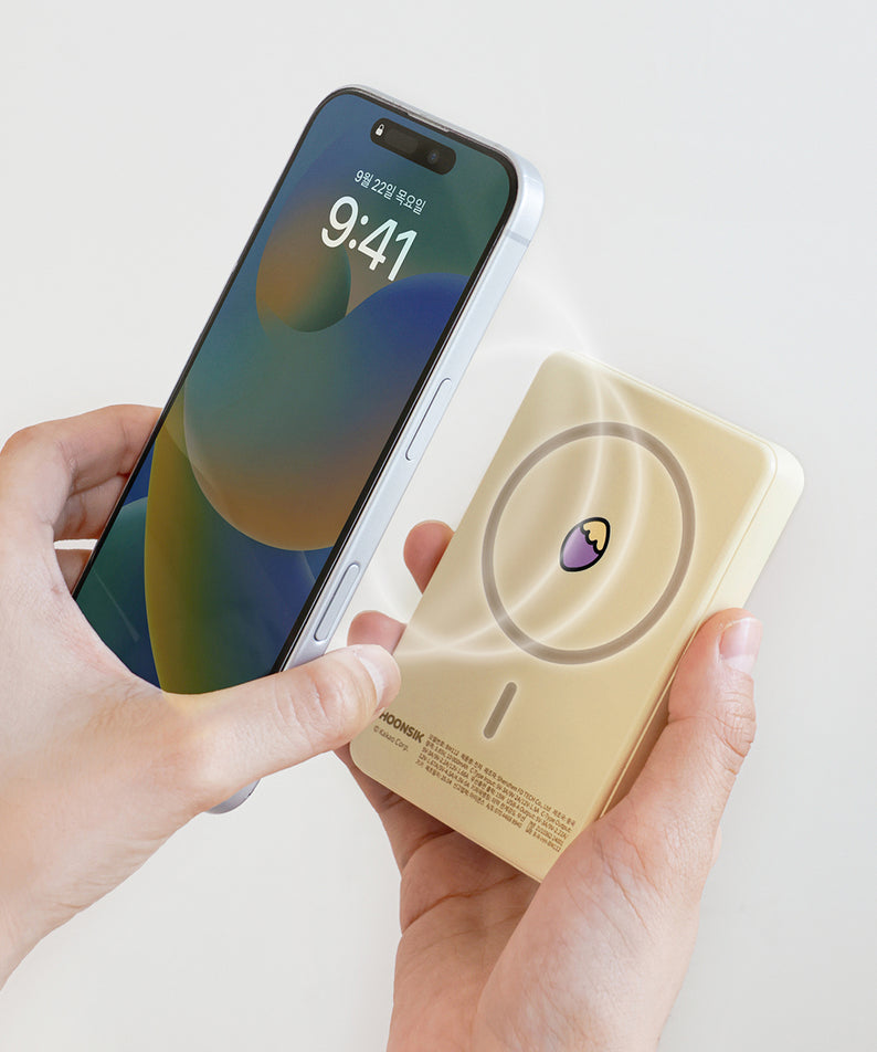Kakao Friends Chunsik Power Bank