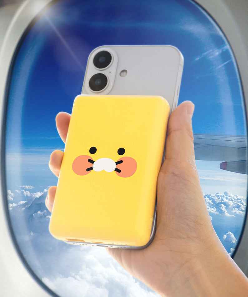 Kakao Friends Chunsik Power Bank