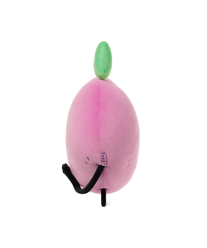 Cushion - Official Kakao Friends merchandise | Koolseoul