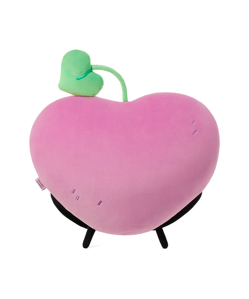 Cushion - Authentic Kakao Friends from Korea | Koolseoul