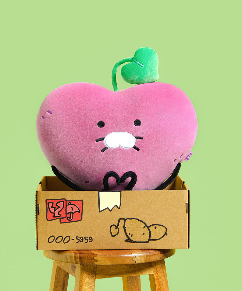 Cushion - Korean kawaii Kakao Friends | Koolseoul
