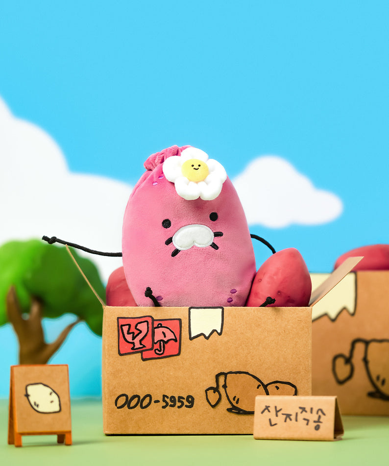 Pouch - Korean kawaii Kakao Friends | Koolseoul