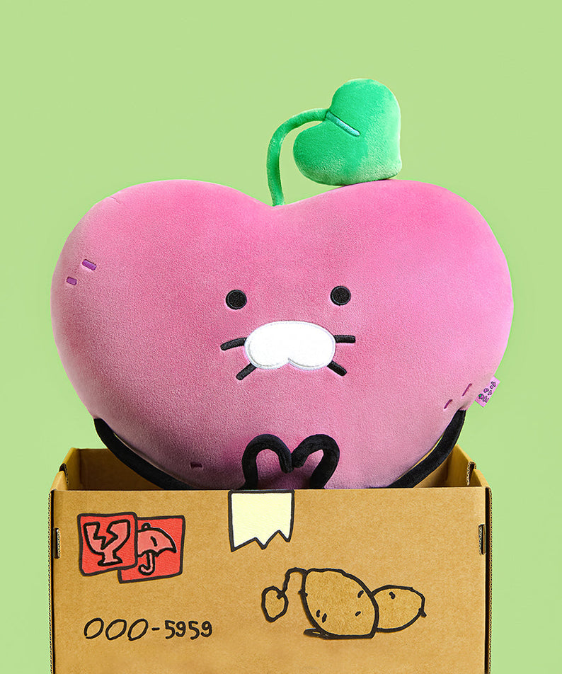 Cushion - Authentic Kakao Friends from Korea | Koolseoul