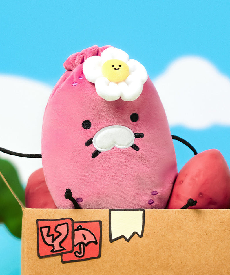 Pouch - Official Kakao Friends merchandise | Koolseoul