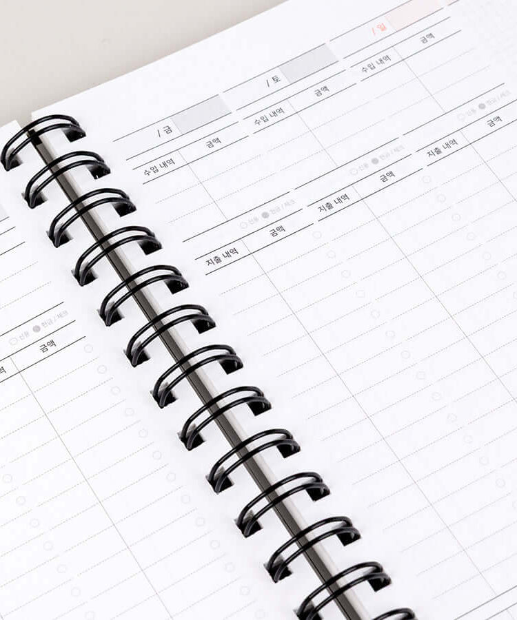 Kakao Friends Ryan Budget Book